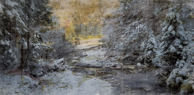 Wald schnee